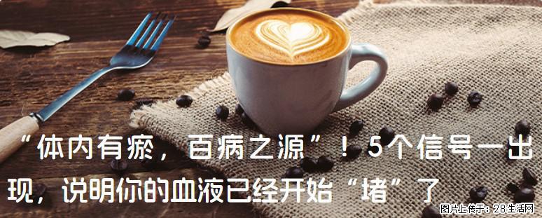 “体内有瘀，百病之源”！5个信号一出现，说明你的血液已经开始“堵”了 - 葫芦岛生活资讯 - 葫芦岛28生活网 hld.28life.com
